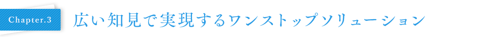 Chapter03 広い知見で実現するワンストップソリューション