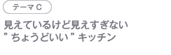 テーマC 見えているけど見えすぎない”ちょうどいい”キッチン